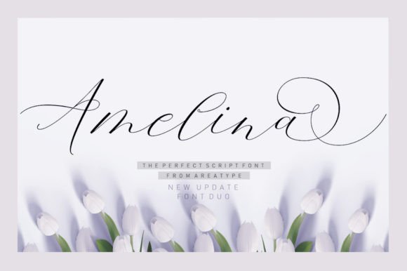 Amelina Duo: A Warm, Elegant Script Typeface for Digital Branding