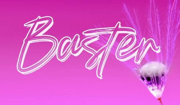Baster: A Bold Handwritten Font for Digital Branding