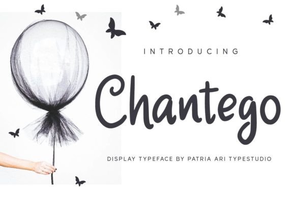 Chantego: A Delicate Handwritten Font for Elegant Digital Branding