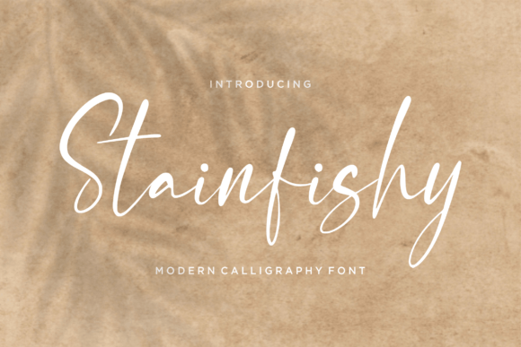 Stainfishy: The Font That Elevates Your Brand’s Visual Story